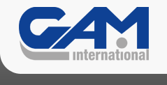 GAM INTERNATIONAL ITALY